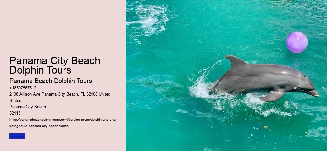 What Do You Wear To A Dolphin Encounter
