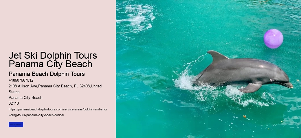 Dolphin Cruise In Panama City Beach