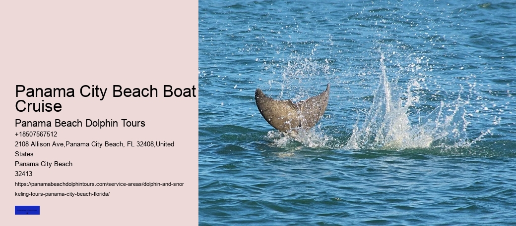 Best Time Of Year For Whale Watching By Seasons