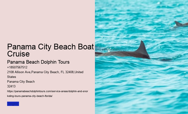 Dolphins Do Not Have A Sense Of Smell