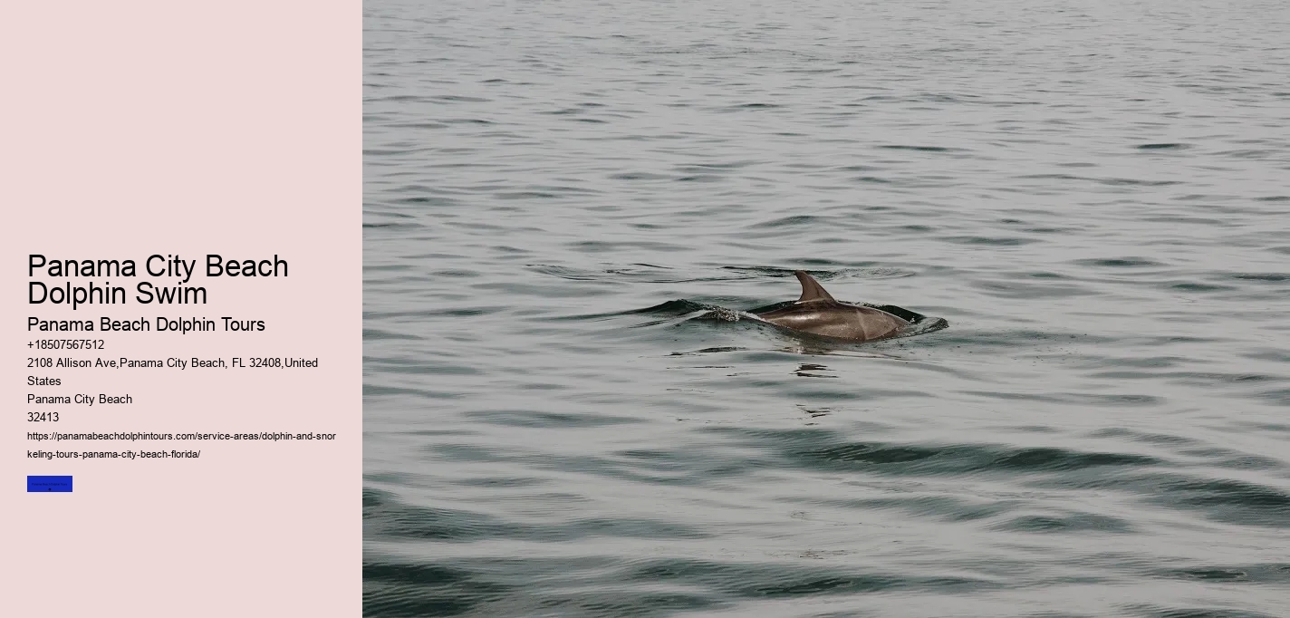 Panama City Beach Dolphin Swim
