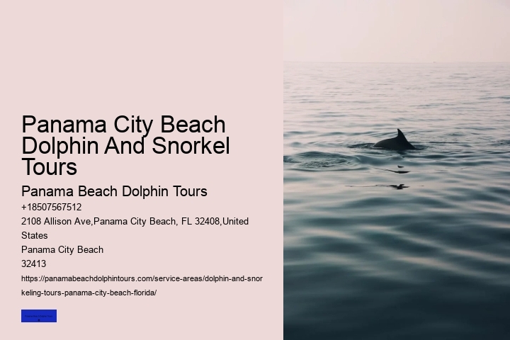 Cheap Pontoon Boat Rentals Panama City Beach