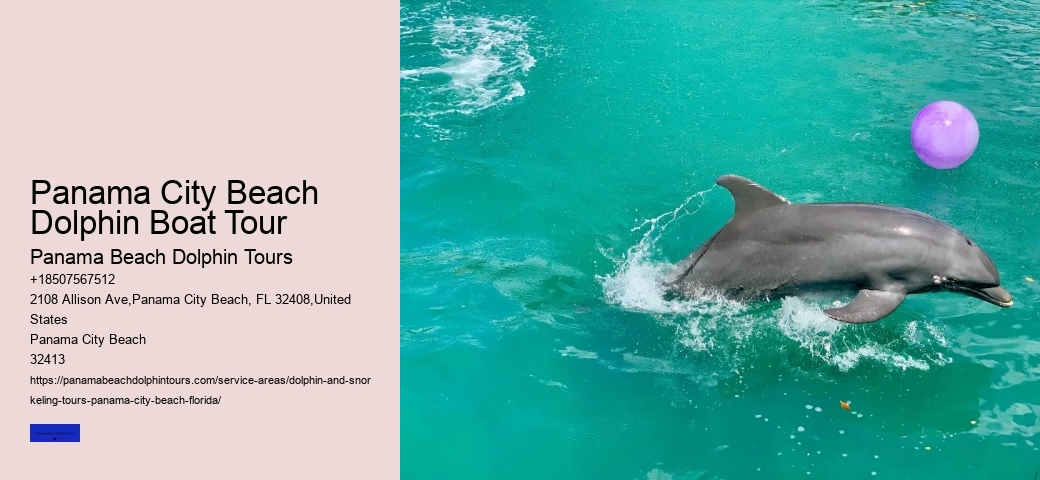 Why Should You Not Push A Beached Dolphin Back Into The Water