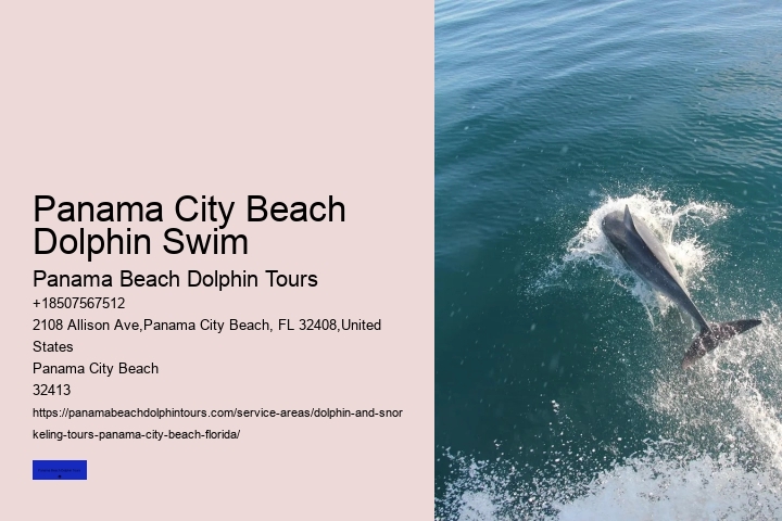 What Not To Do Around Dolphins
