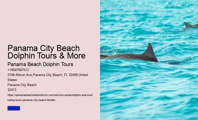 Shell Island Dolphin