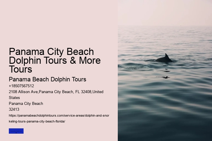 Dolphin Tours And Shell Island Panama City Beach