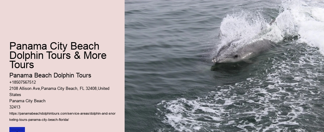 What Scares Dolphins Away