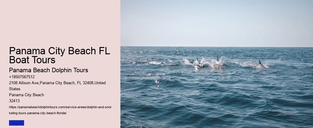 Panama City Beach Dolphin Tours & More Reviews