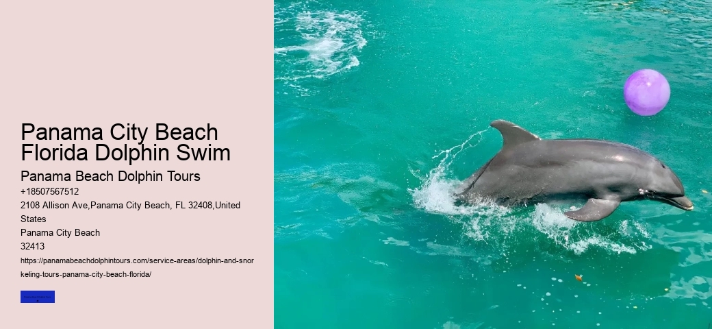 Panama City Beach Dolphin Swim Adventure