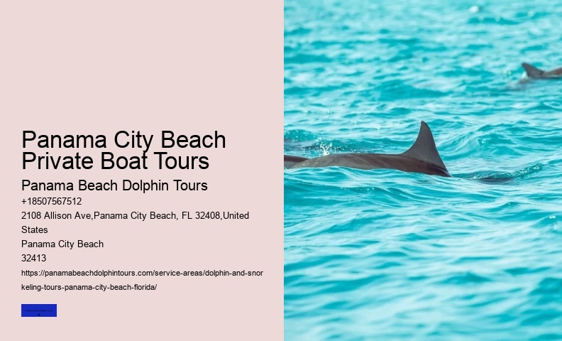 Find Out What Its Like To Swim With Dolphins