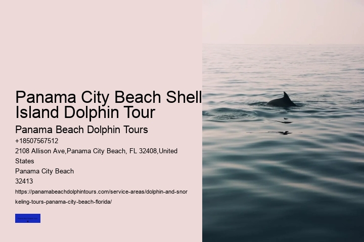 Come Swim With The Dolphins