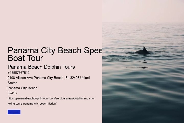 Dolphin Tours