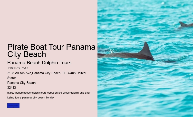 What Is The Best Time For Dolphin Tours