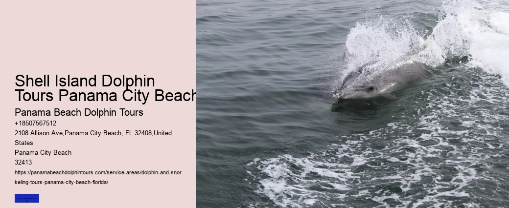 Is Swimming With Dolphins Ethical