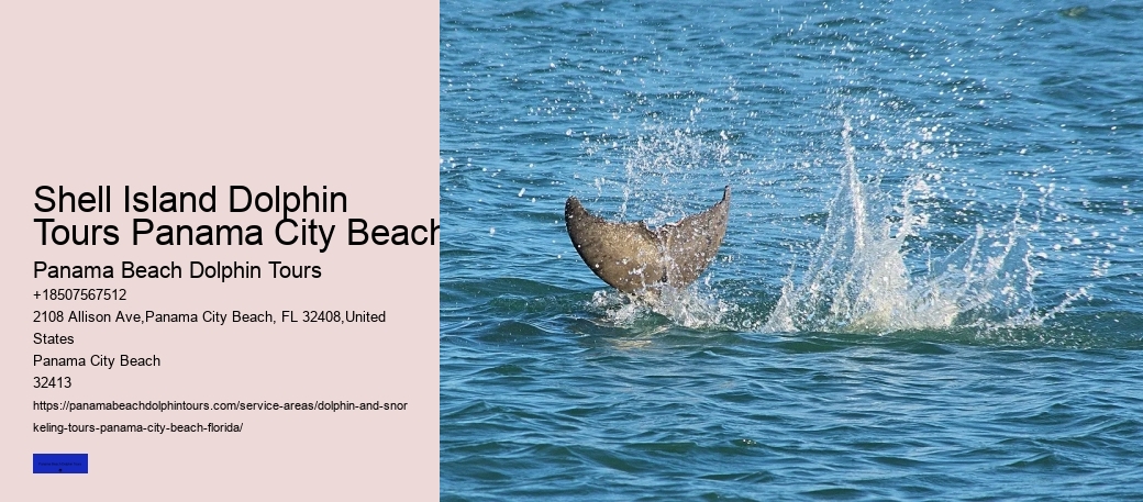 Shell Island Boat Tours Panama City Beach FL