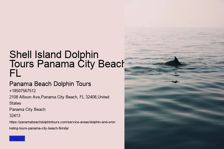 Dolphin Swim Tours