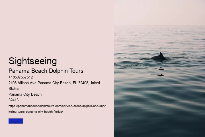Swim With A Dolphin In Panama City Beach Florida