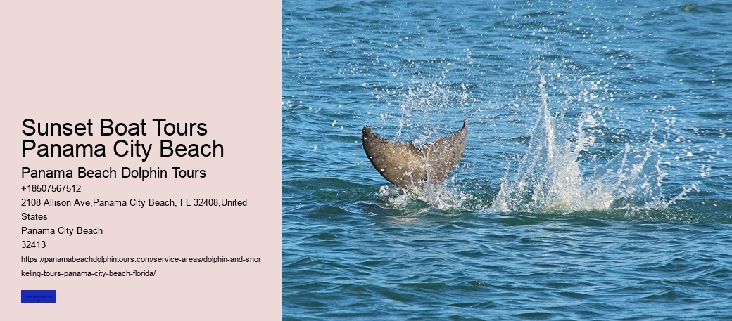 Panama City Beach Dolphin Swim