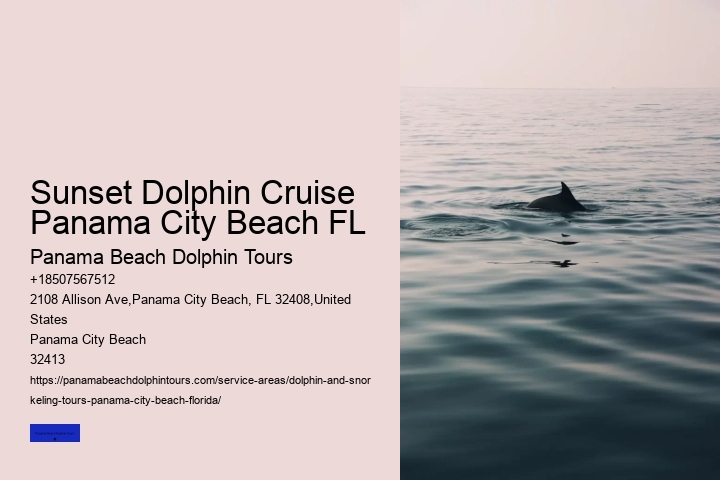 What To Do If A Wild Dolphin Approaches You