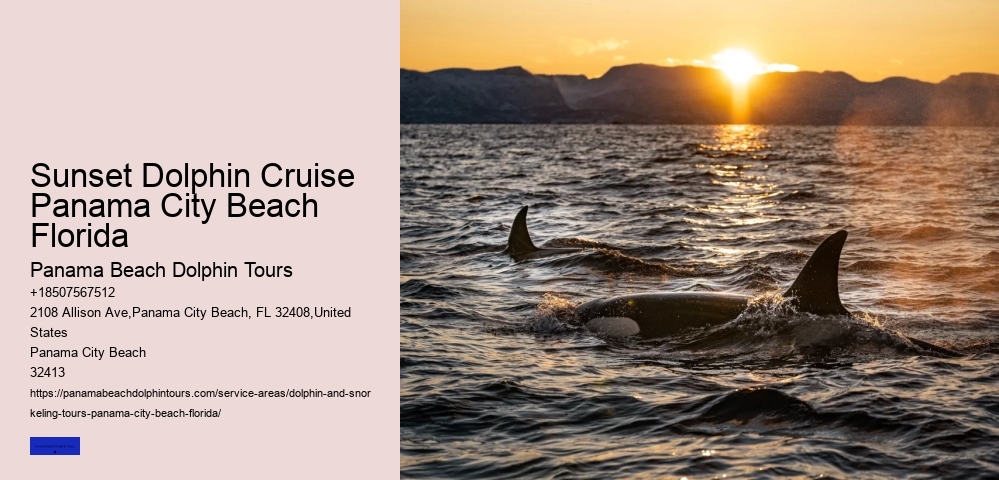 Cheapest Shuttle To Shell Island