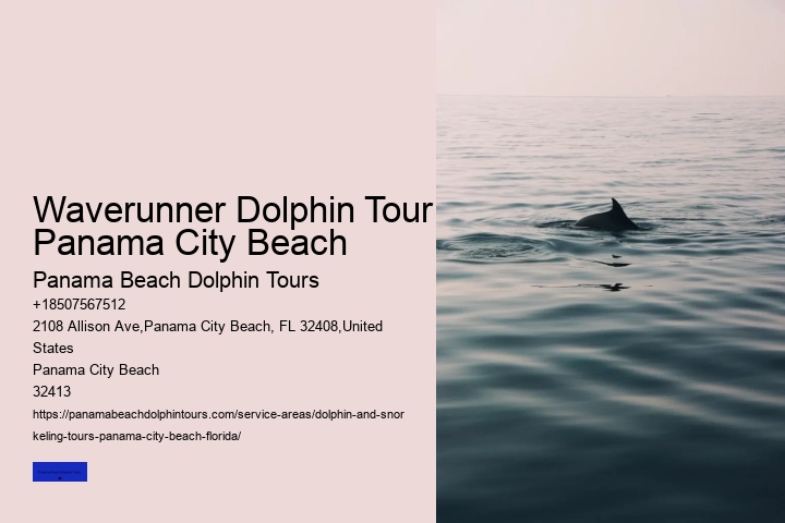 Where Are You Most Likely To See Dolphins In Florida