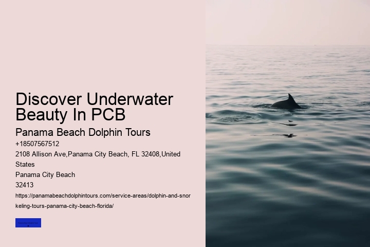 Discover Underwater Beauty In PCB