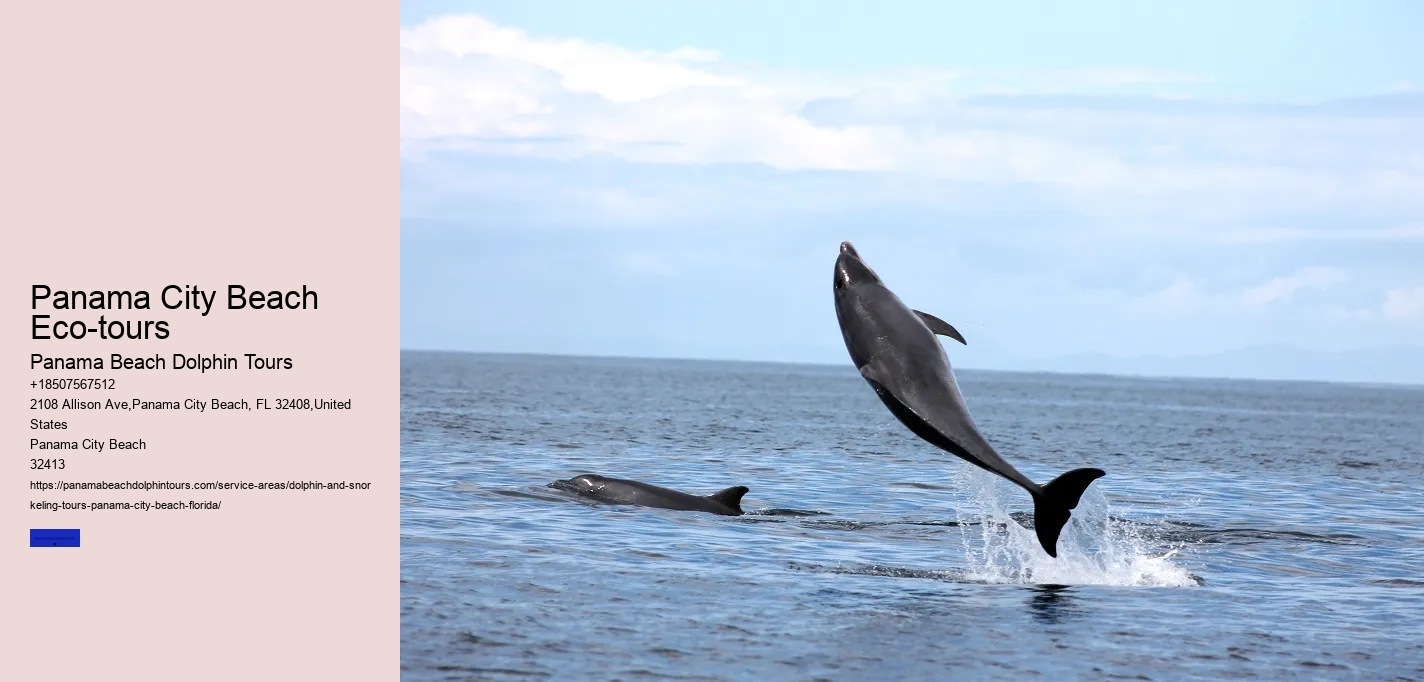 Panama City Beach Eco-tours