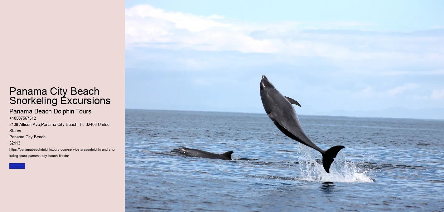 Panama City Beach Snorkeling Excursions
