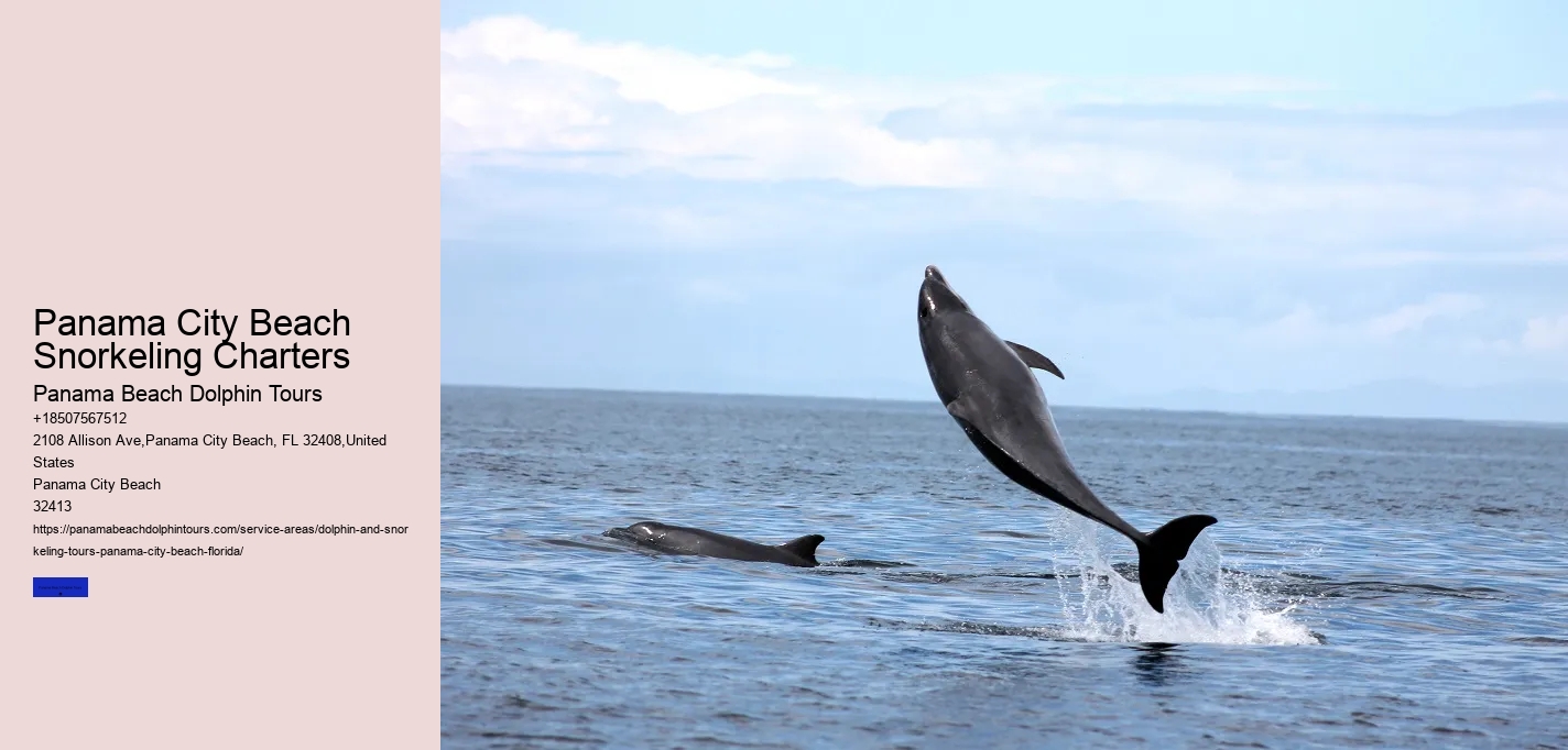 Panama City Beach Snorkeling Charters