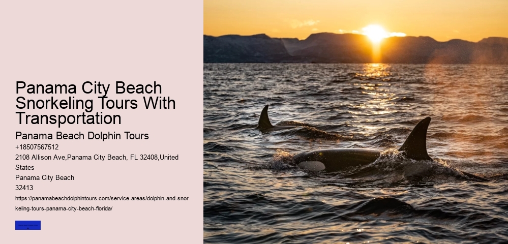 Panama City Beach Snorkeling Tours With Transportation