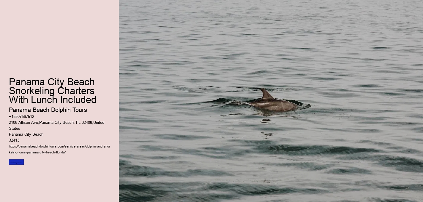 Panama City Beach Snorkeling Charters With Lunch Included