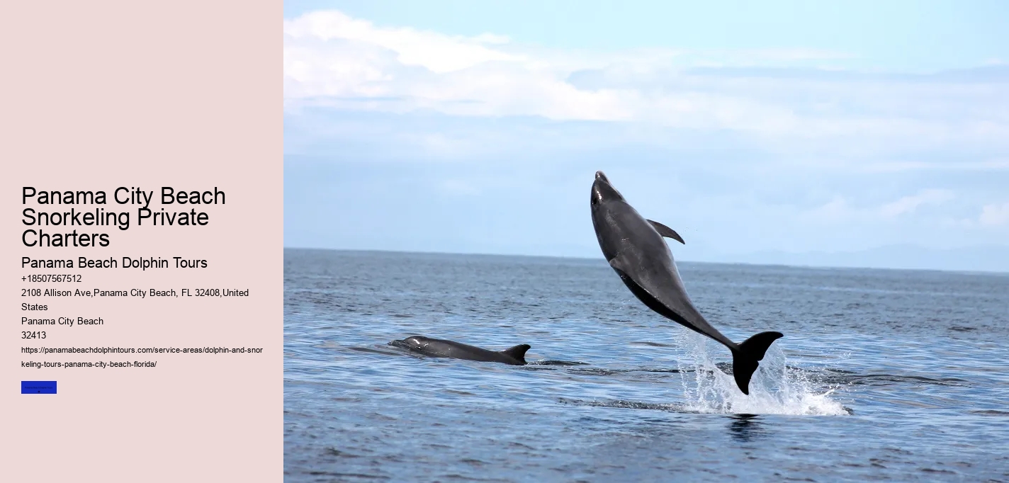 Panama City Beach Snorkeling Private Charters