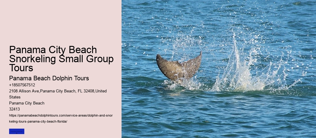 Panama City Beach Snorkeling Small Group Tours