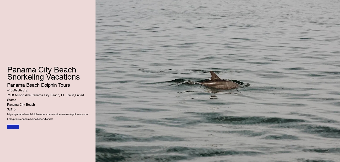 Panama City Beach Snorkeling Vacations