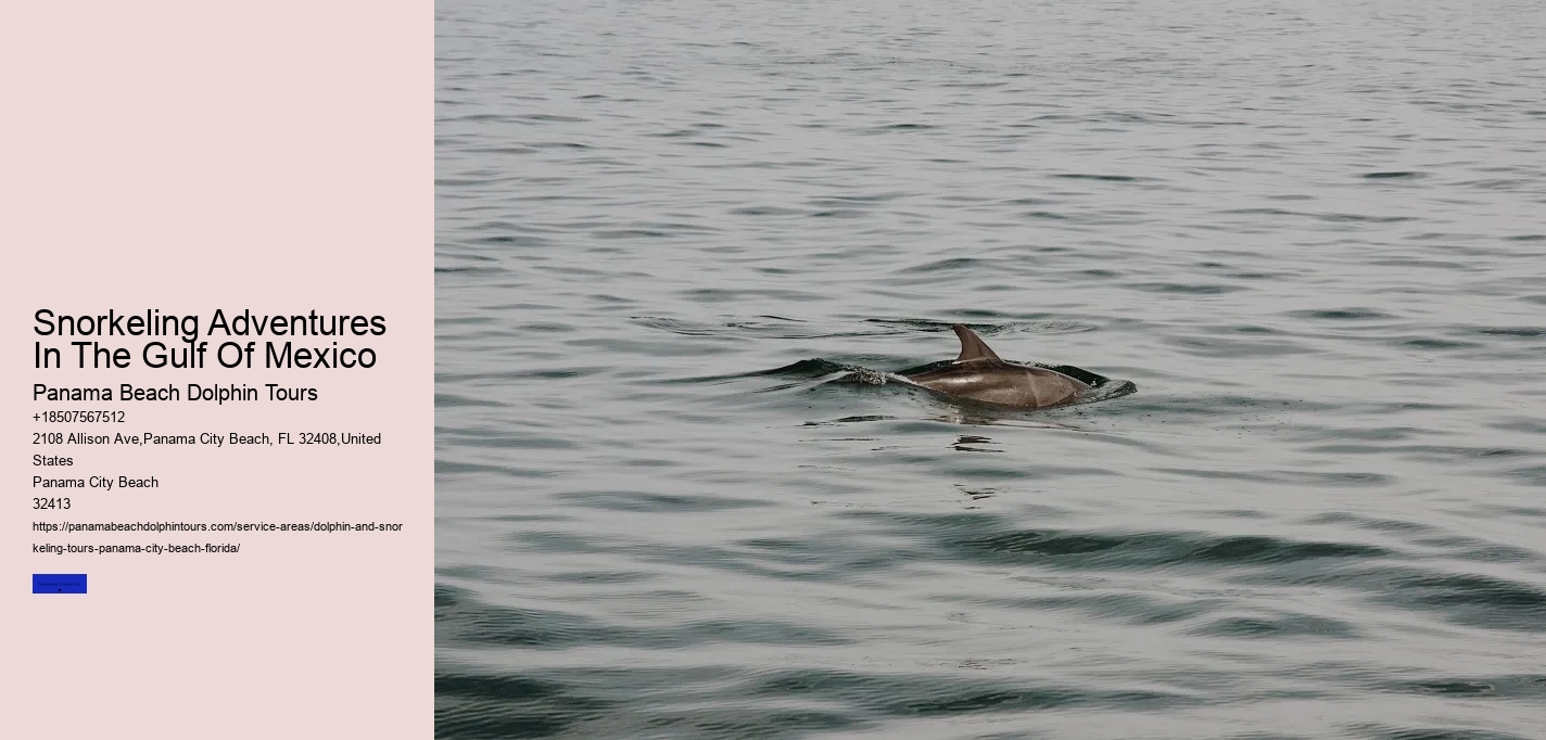 Snorkeling Adventures In The Gulf Of Mexico