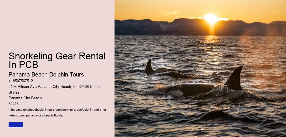 Snorkeling Gear Rental In PCB