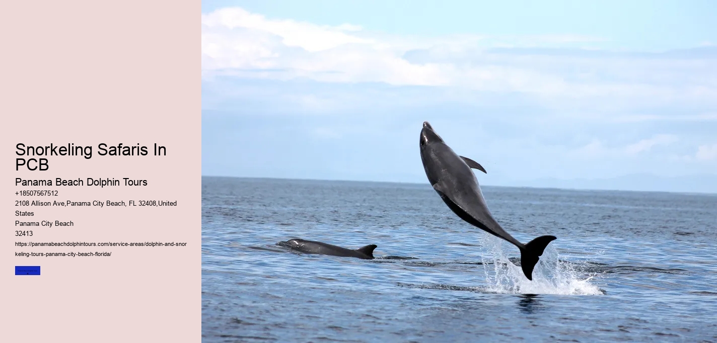 Snorkeling Safaris In PCB