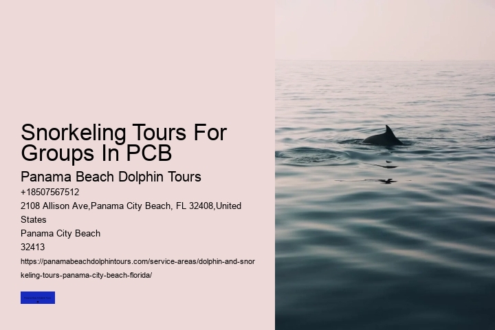 Snorkeling Tours For Groups In PCB