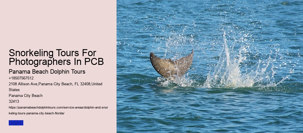 Snorkeling Tours For Photographers In PCB