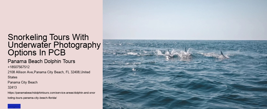 Snorkeling Tours With Underwater Photography Options In PCB