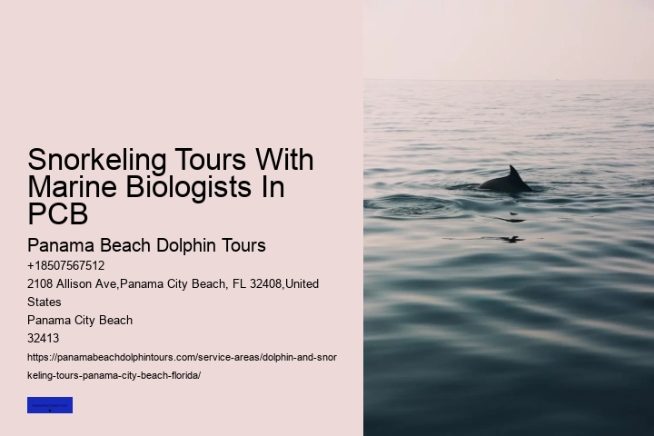 Snorkeling Tours With Marine Biologists In PCB